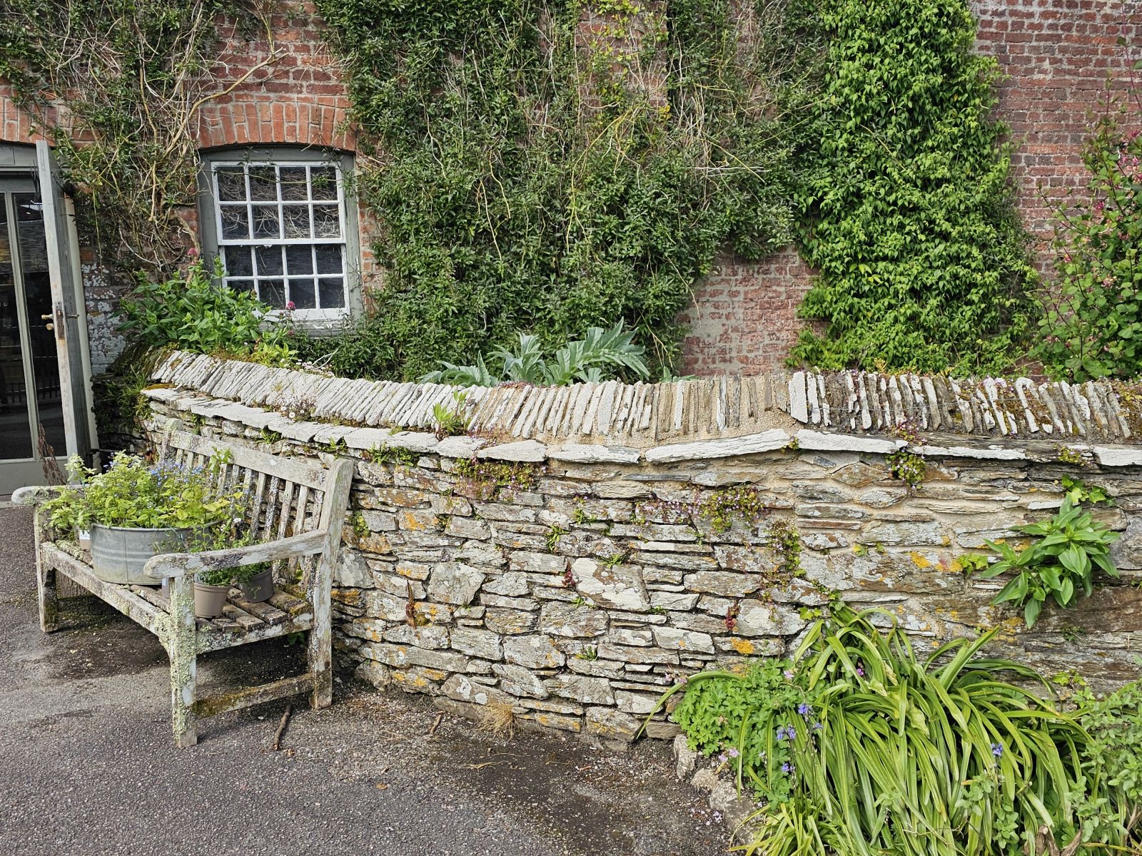 trelissick-cornouailles-angleterre-mundi-plantarum